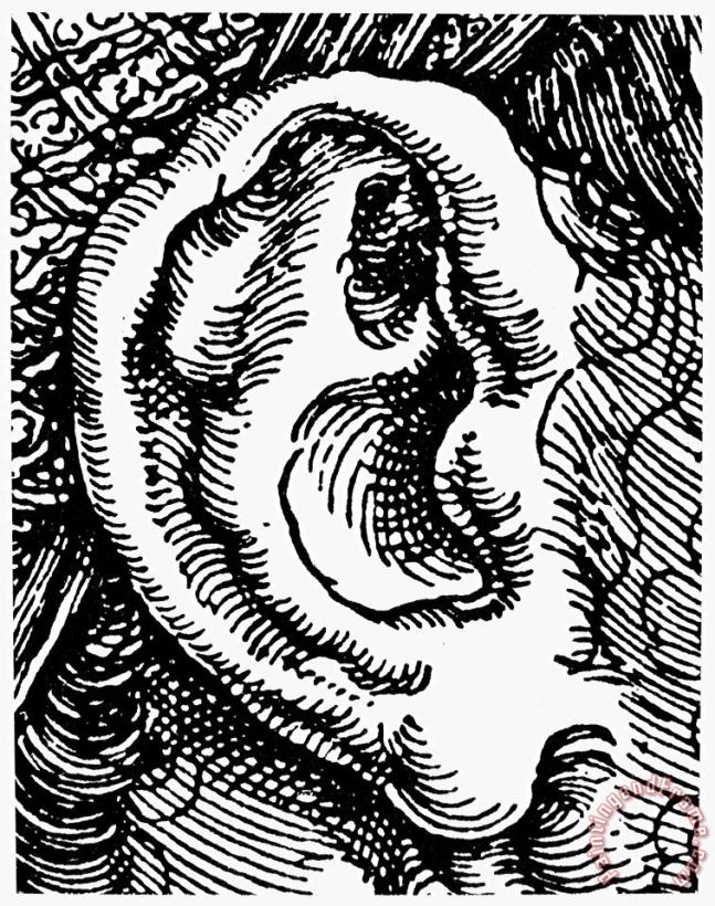 Human Ear painting - Others Human Ear Art Print