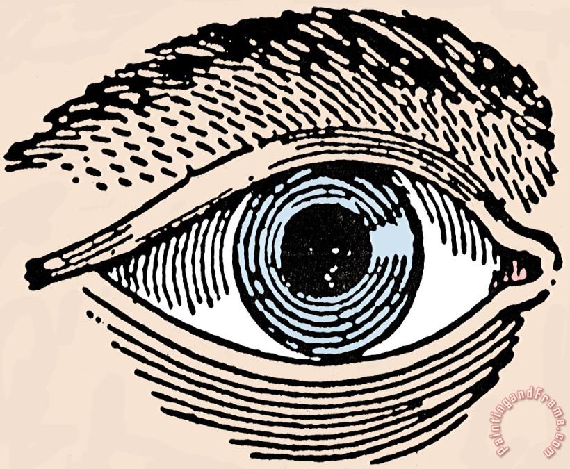 Others HUMAN EYE, 19th CENTURY Art Painting