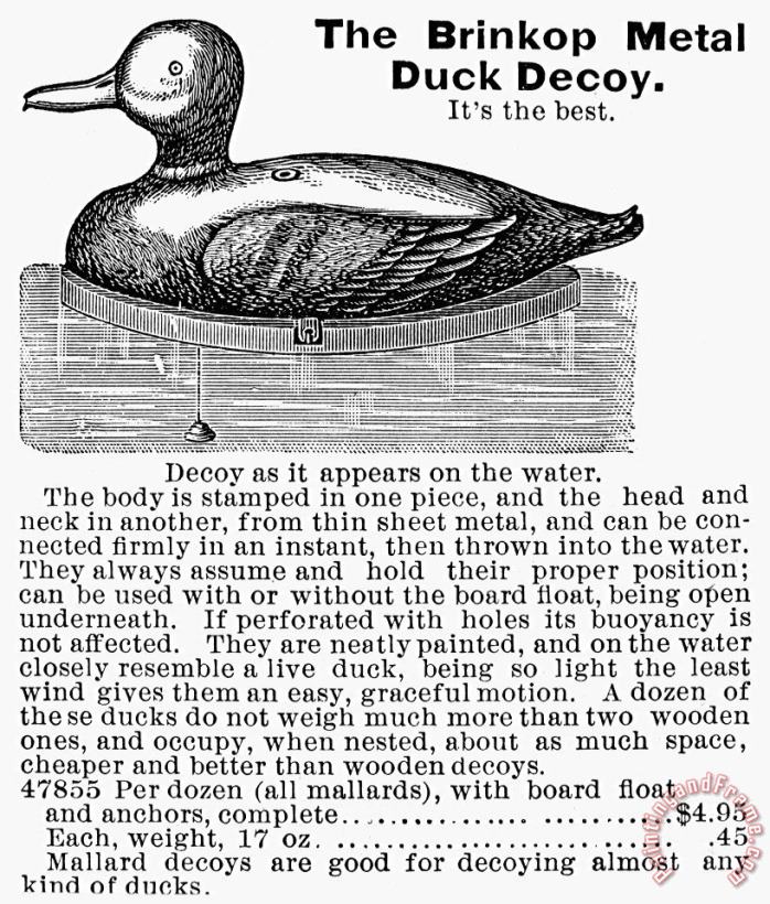 Hunting: Duck Decoy, 1895 painting - Others Hunting: Duck Decoy, 1895 Art Print