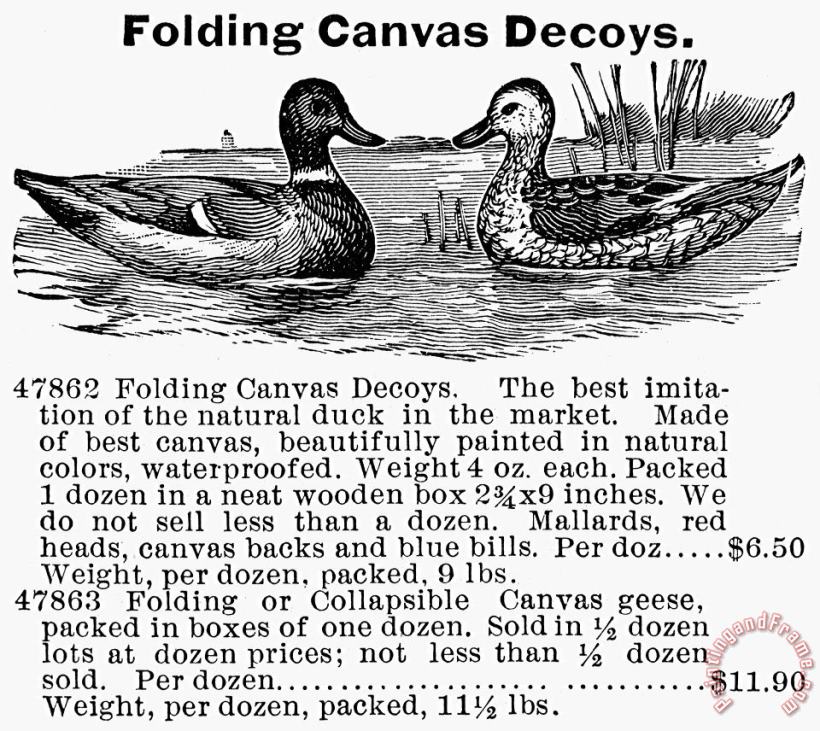 Hunting: Duck Decoy, 1895 painting - Others Hunting: Duck Decoy, 1895 Art Print