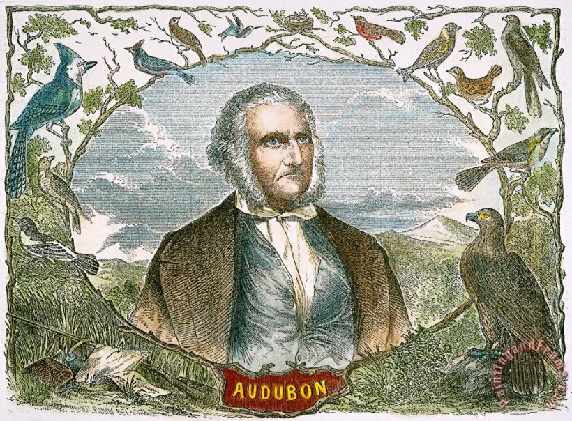 Others John James Audubon Art Painting