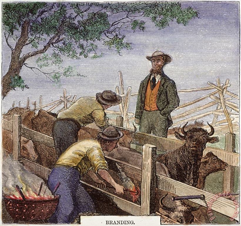 Others Texas: Cattle Branding 1874 Art Painting