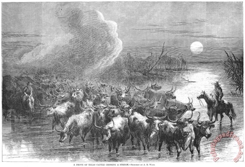Texas: Cattle Drive, 1867 painting - Others Texas: Cattle Drive, 1867 Art Print