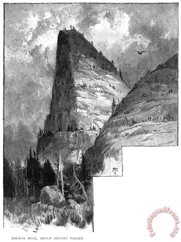 Others Yosemite National Park Art Print