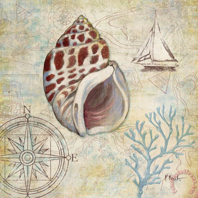 Discovery Shell Iv painting - Paul Brent Discovery Shell Iv Art Print