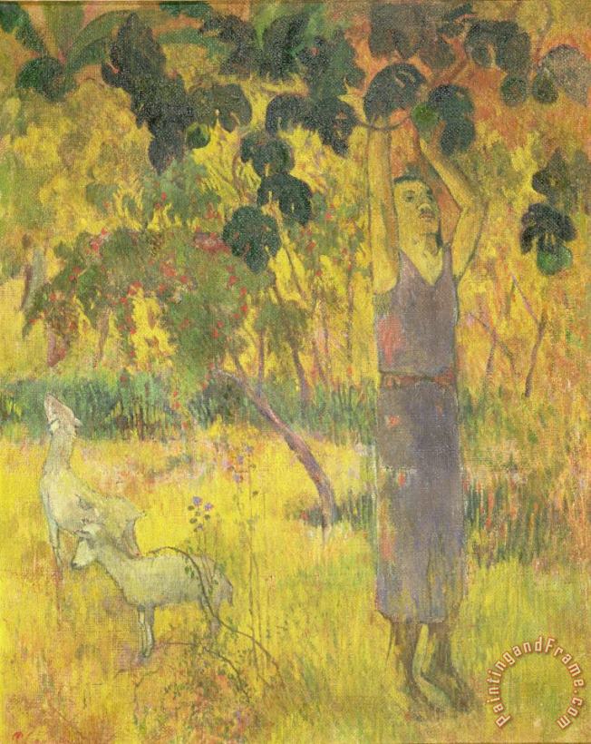Paul Gauguin Picking Fruit from a Tree Art Print