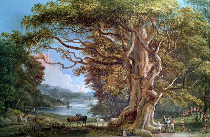 Paul Sandby An Ancient Beech Tree Art Print