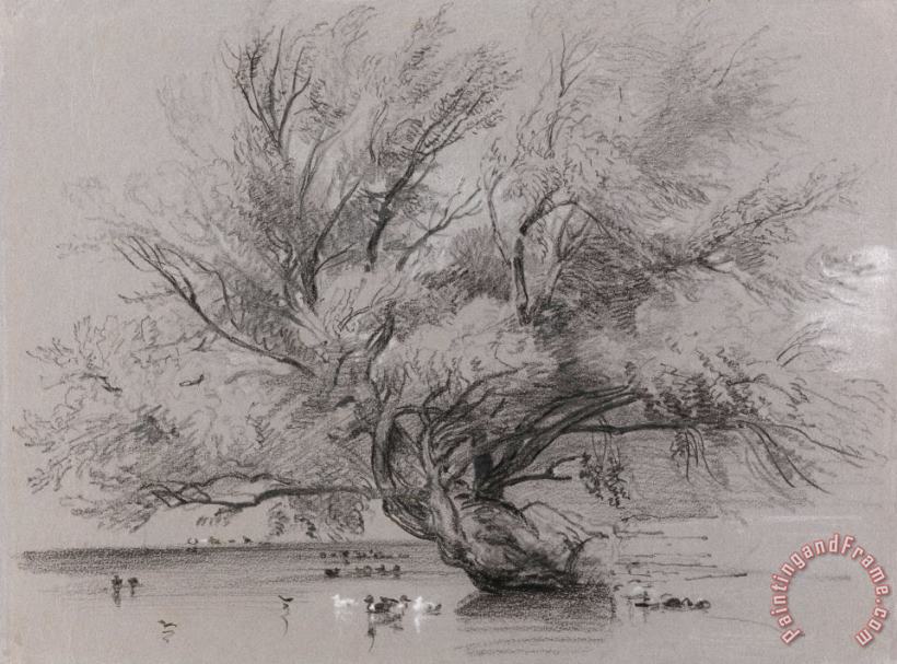 Peter de Wint Pond with Willow Tree And Ducks Art Painting