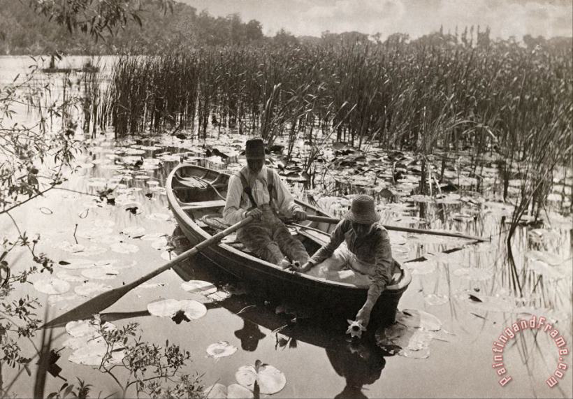 Peter Henry Emerson Gathering Waterlilies Art Painting