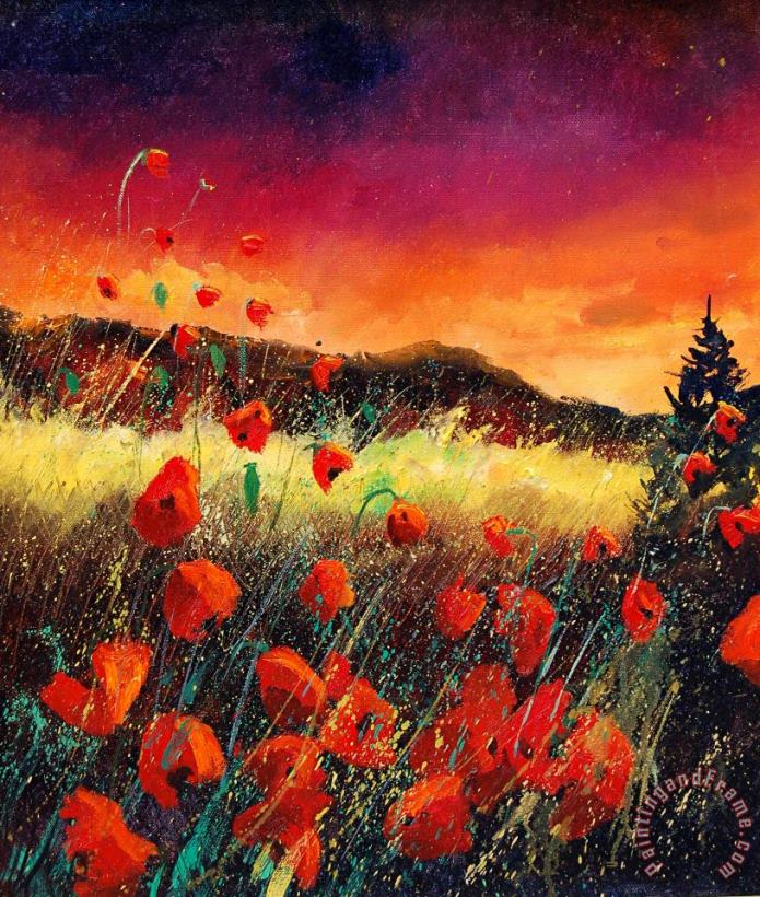 Poppies at sunset 67 painting - Pol Ledent Poppies at sunset 67 Art Print