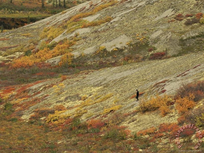 A Lone Person Walks Down a Lichen Covered Hill painting - Raymond Gehman A Lone Person Walks Down a Lichen Covered Hill Art Print