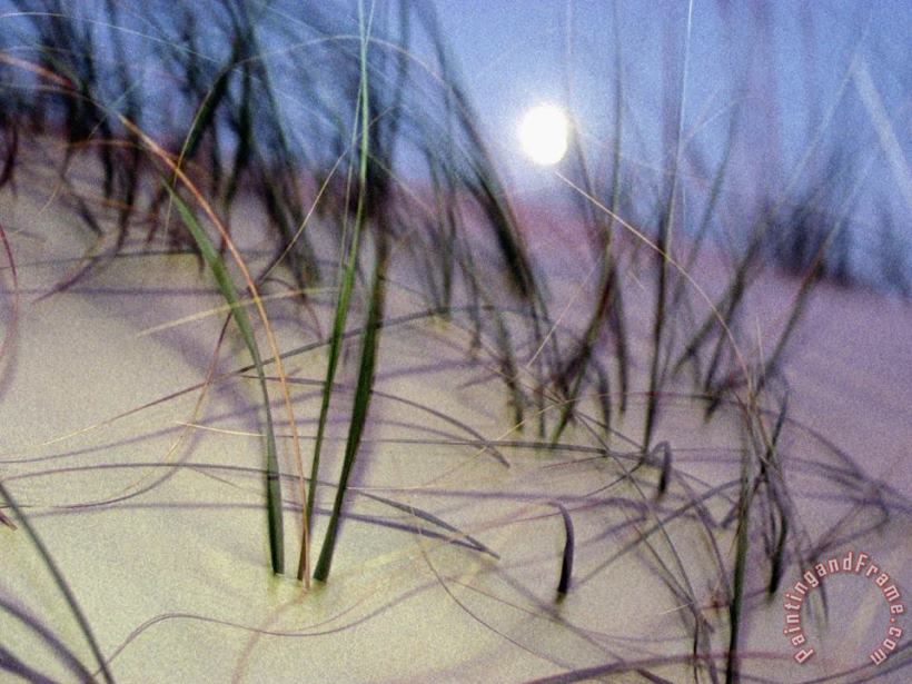 A View of a Full Moon Rising Above a Sand Dune painting - Raymond Gehman A View of a Full Moon Rising Above a Sand Dune Art Print