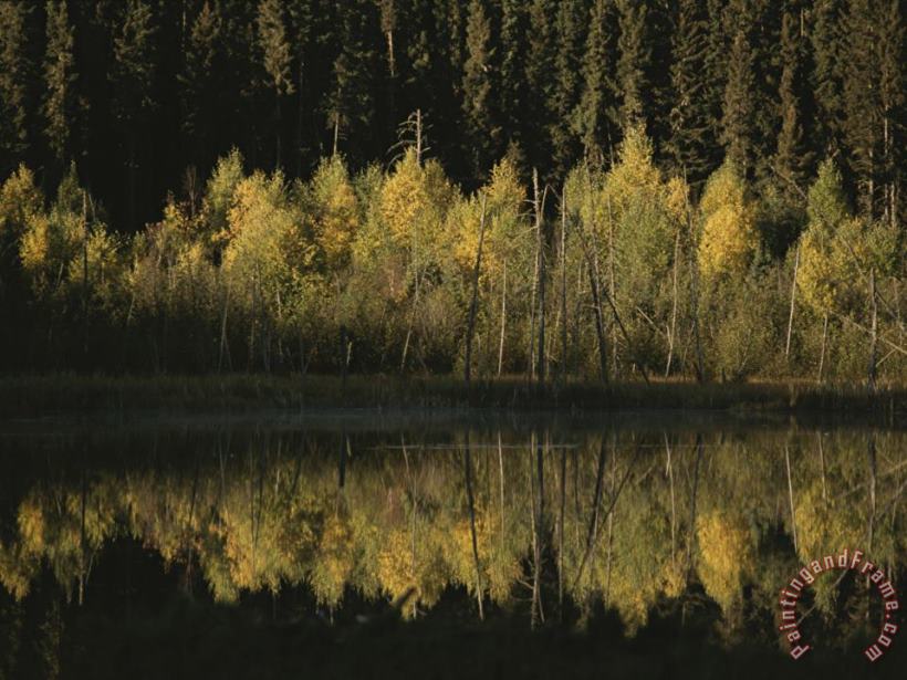 Raymond Gehman Autumnal Beauty Reflected in a Still Creek Art Painting