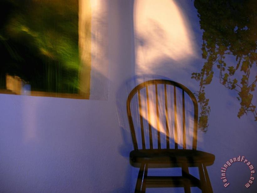 Raymond Gehman Chair And Vines on a Front Porch Art Print
