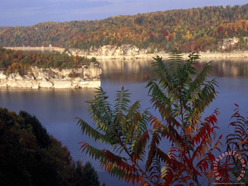 Raymond Gehman Cliffs And Autumn Hues Along The Gauley River Art Print