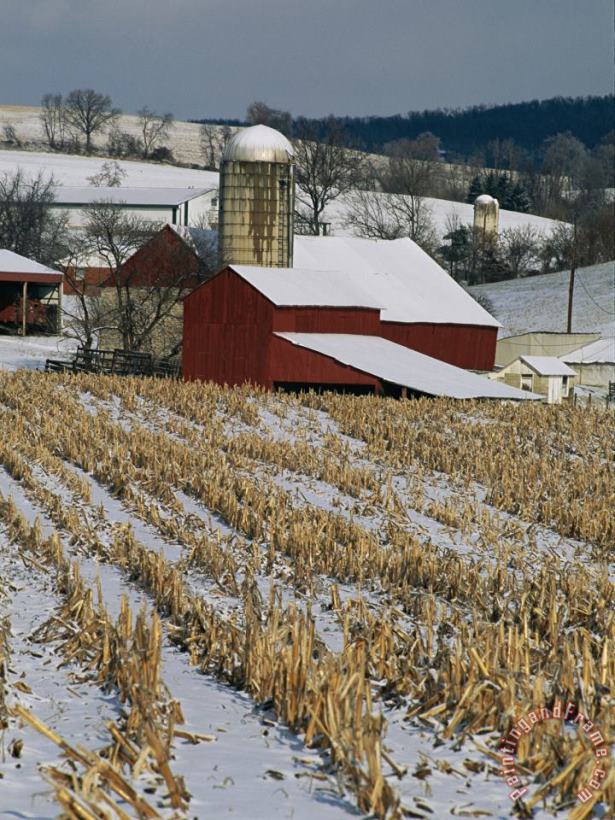 Corn Stubble And Barn in a Wintery Pennsylvania Landscape painting - Raymond Gehman Corn Stubble And Barn in a Wintery Pennsylvania Landscape Art Print
