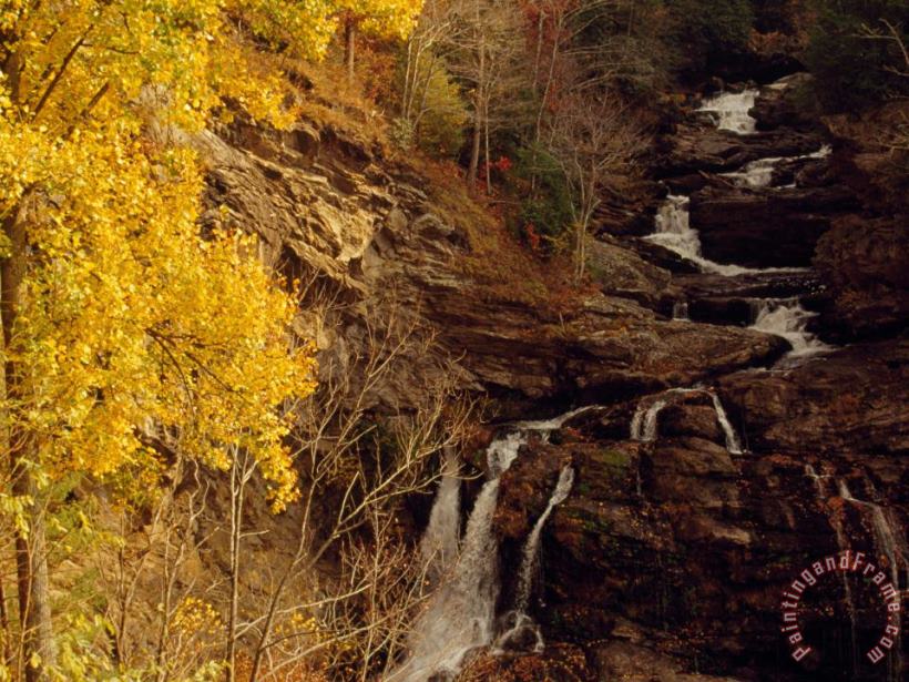 Raymond Gehman Creek Running Through Forest in Autumn Hues in Cullasaja Gorge Art Print