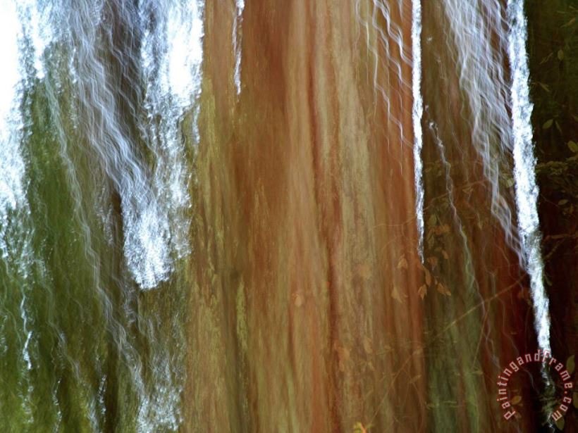 Raymond Gehman Detail of Giant Redwood Tree Trunk And Bark Art Painting