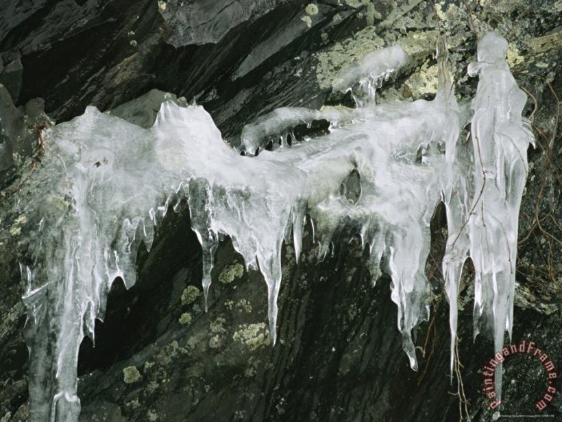 Ice From Water Seeping Through Cracks in Rock Humpback Rocks painting - Raymond Gehman Ice From Water Seeping Through Cracks in Rock Humpback Rocks Art Print