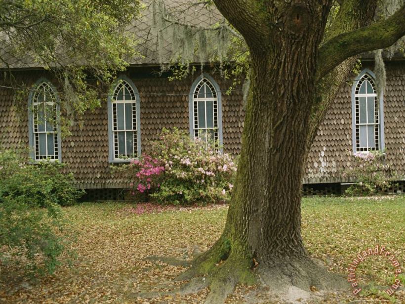 Raymond Gehman Old Church with Blooming Azaleas Oak Tree And Spanish Moss Art Painting