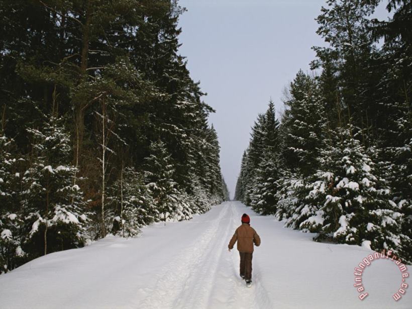 Polish Child Walking on a Snowy Road in Bialowieza Forest painting - Raymond Gehman Polish Child Walking on a Snowy Road in Bialowieza Forest Art Print