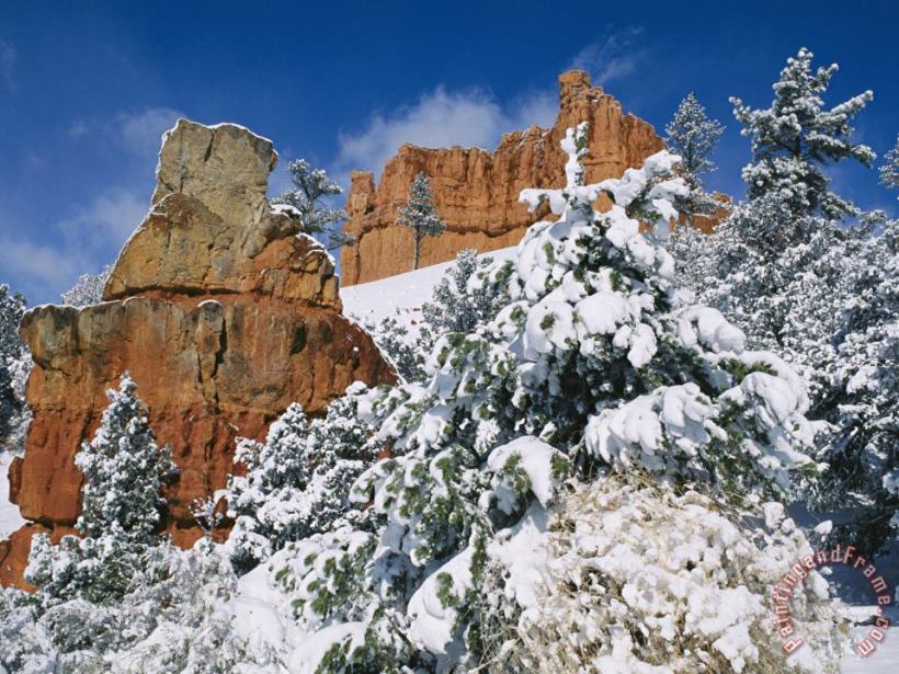 Red Rock Formations Poke Through a Late Winter Snow painting - Raymond Gehman Red Rock Formations Poke Through a Late Winter Snow Art Print