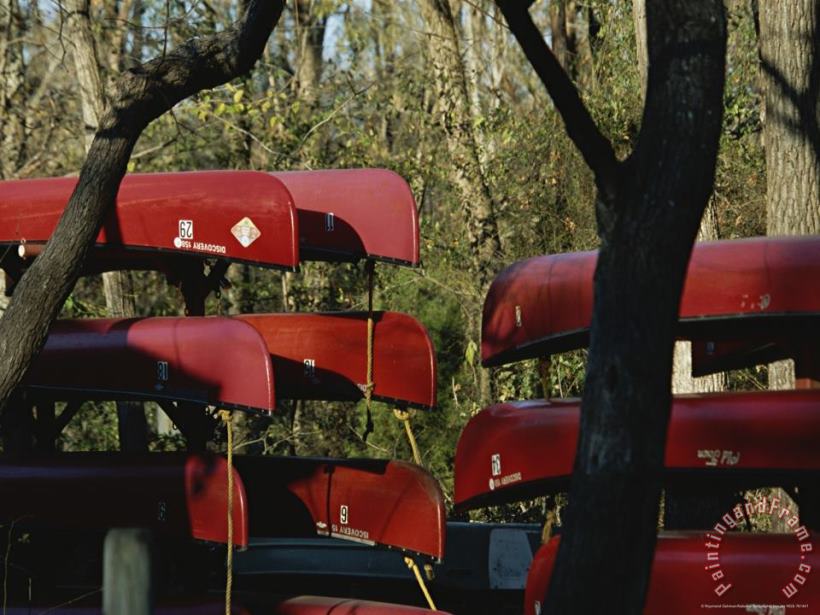 Raymond Gehman Rental Canoes Stacked on Racks Art Print
