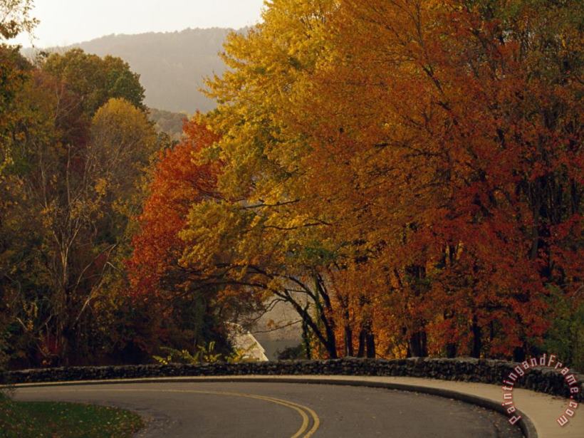 Road Going Around a Bend And Colorful Trees in Autumn Hues painting - Raymond Gehman Road Going Around a Bend And Colorful Trees in Autumn Hues Art Print