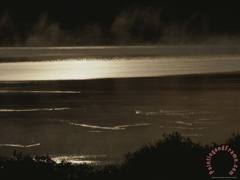 Shimmering View of Swan Lake painting - Raymond Gehman Shimmering View of Swan Lake Art Print