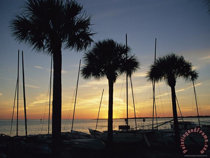 Silhouetted Palm Trees And Catamarans Line a Shoreline at Twilight painting - Raymond Gehman Silhouetted Palm Trees And Catamarans Line a Shoreline at Twilight Art Print