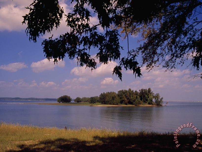 Raymond Gehman Small Island in Kentucky Lake Framed by Tree Branches Art Print