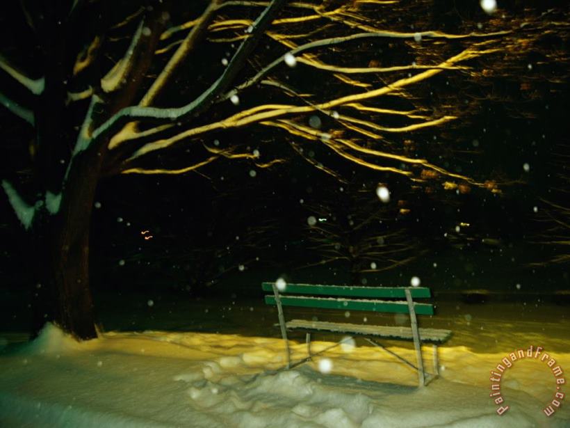 Raymond Gehman Snow Falls on a Park Bench at Night Art Painting