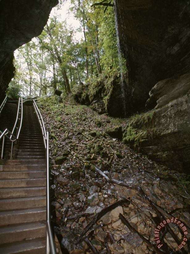 Stairway Leading Down Into Mammoth Cave painting - Raymond Gehman Stairway Leading Down Into Mammoth Cave Art Print