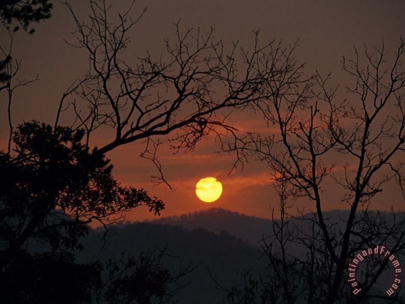 Raymond Gehman Sunrise Over Mountains Viewed Through an Oak Forest Art Painting