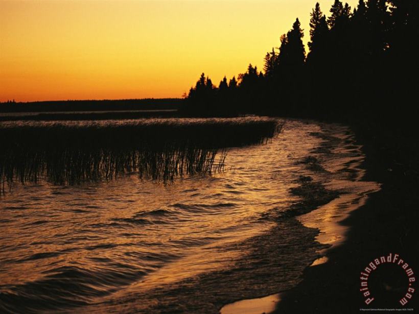 Raymond Gehman Sunset Over Clear Lake Art Painting