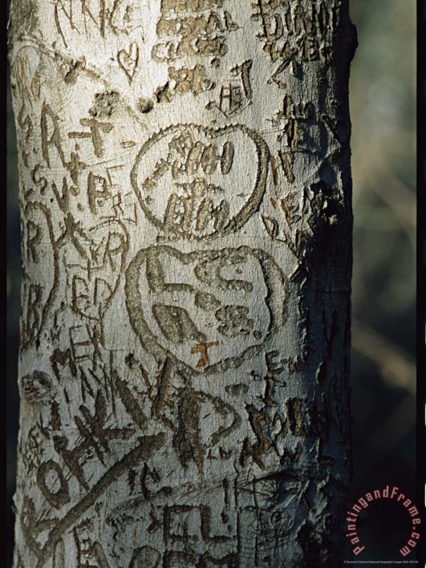 Raymond Gehman Vandalized Tree Trunk with Carved Initials in It Art Painting