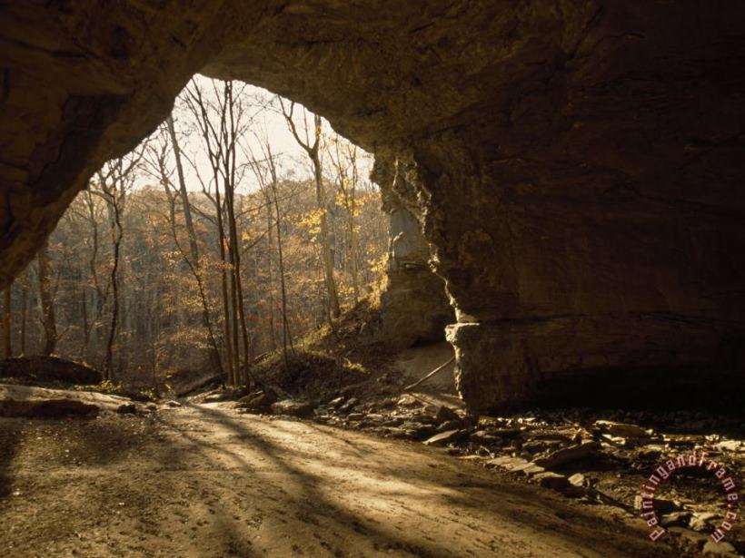 Raymond Gehman View Looking Out From The Mouth of a Cave Looking Out Into a Forest Art Print