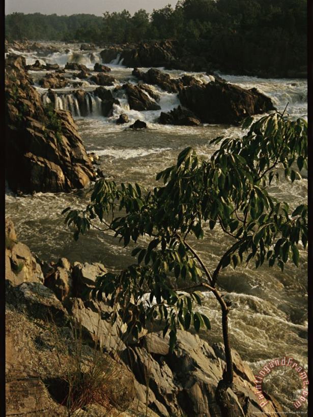 View of Waterfalls at Great Falls State Park painting - Raymond Gehman View of Waterfalls at Great Falls State Park Art Print
