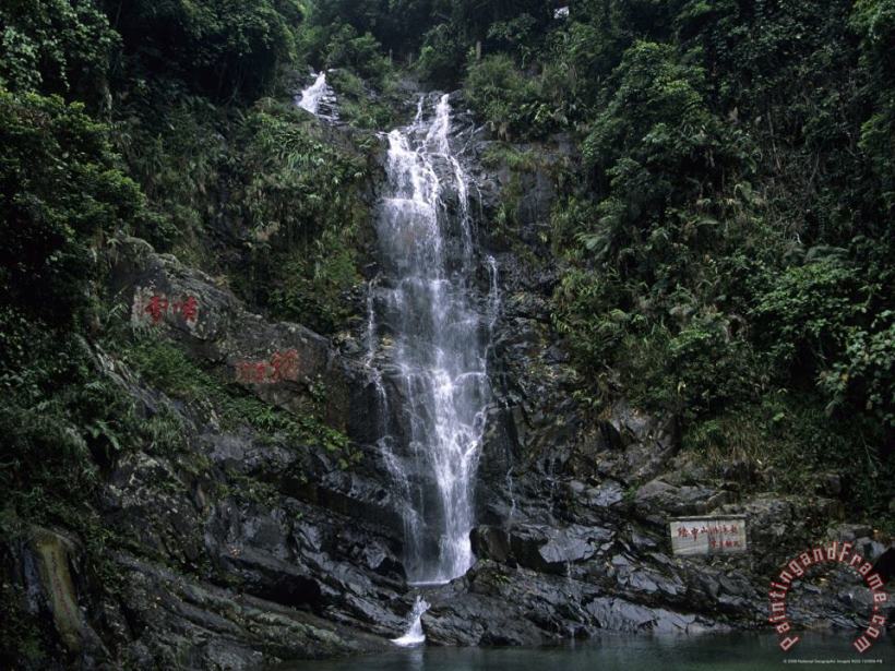 Raymond Gehman Waterfall Cascading Down Rock Face in Subtropical Rainforest Art Painting