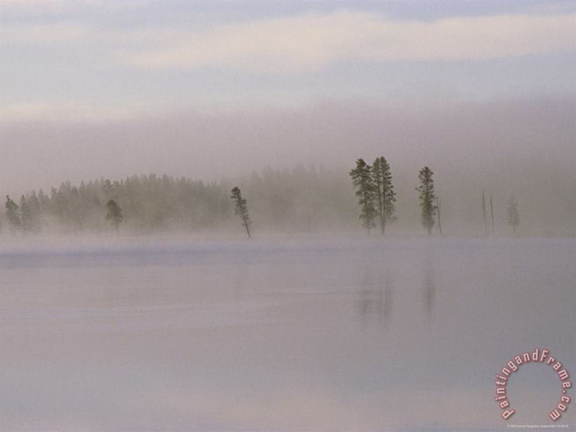 Yellowstone River in Dawn Mist painting - Raymond Gehman Yellowstone River in Dawn Mist Art Print