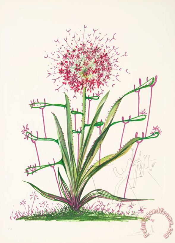 Salvador Dali Desert Cactus, From Florals, 1972 Art Painting