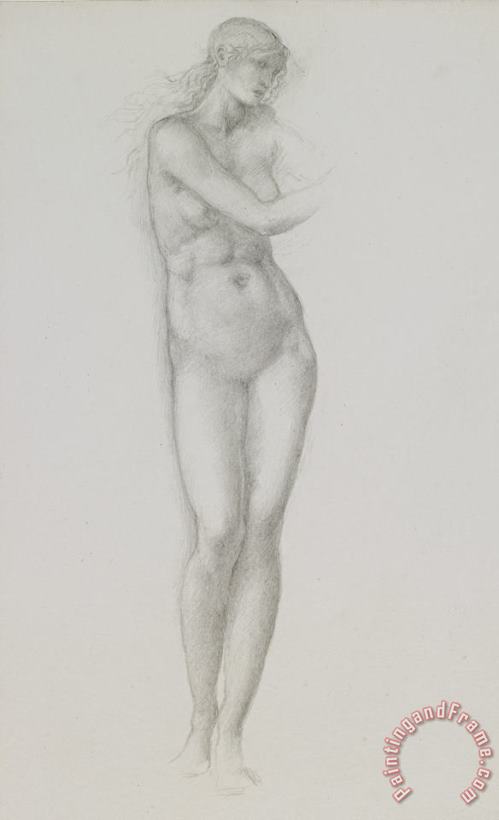 Nude Female Figure Study For Venus From The Pygmalion Series painting - Sir Edward Coley Burne-Jones Nude Female Figure Study For Venus From The Pygmalion Series Art Print