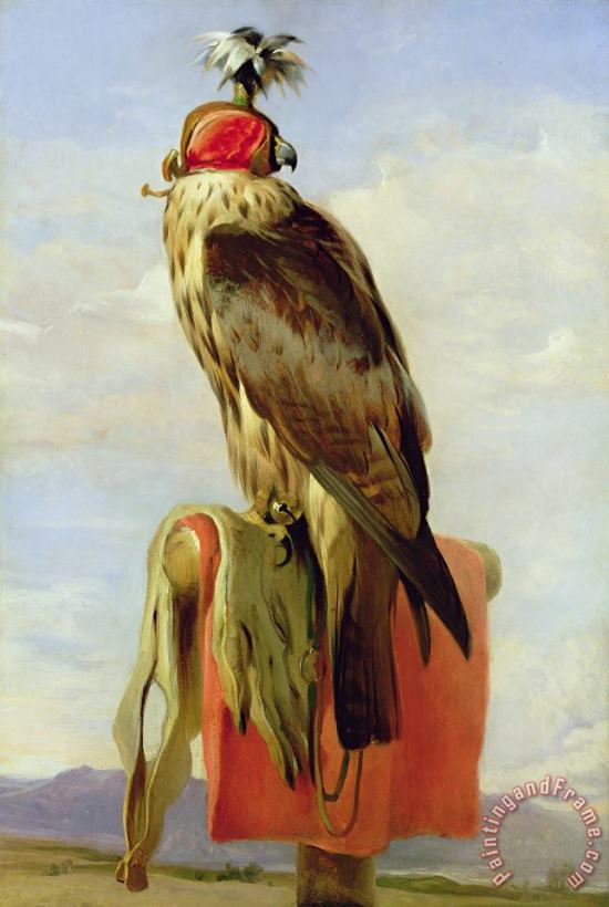 Hooded Falcon painting - Sir Edwin Landseer Hooded Falcon Art Print