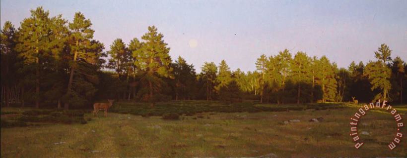 Stephen Gjertson Moonrise Over The Meadow Art Painting