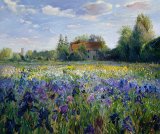 Timothy Easton - Evening at the Iris Field painting