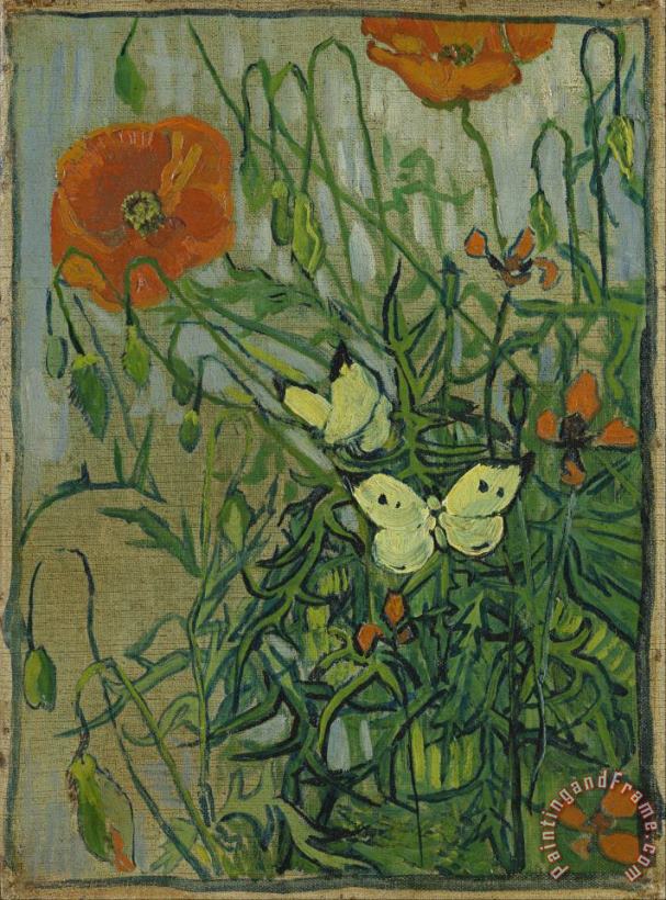 Vincent van Gogh Butterflies And Poppies Art Painting