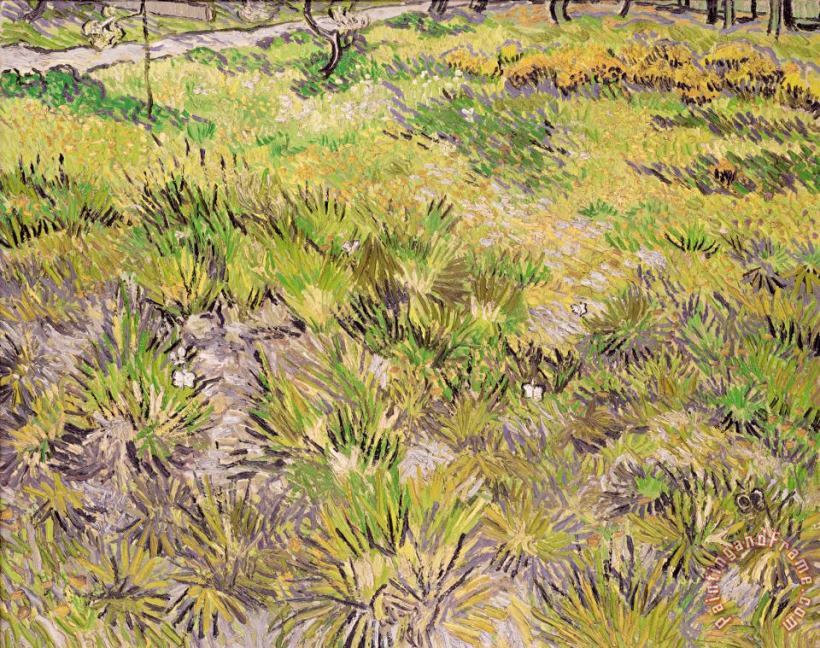 Meadow With Butterflies painting - Vincent van Gogh Meadow With Butterflies Art Print