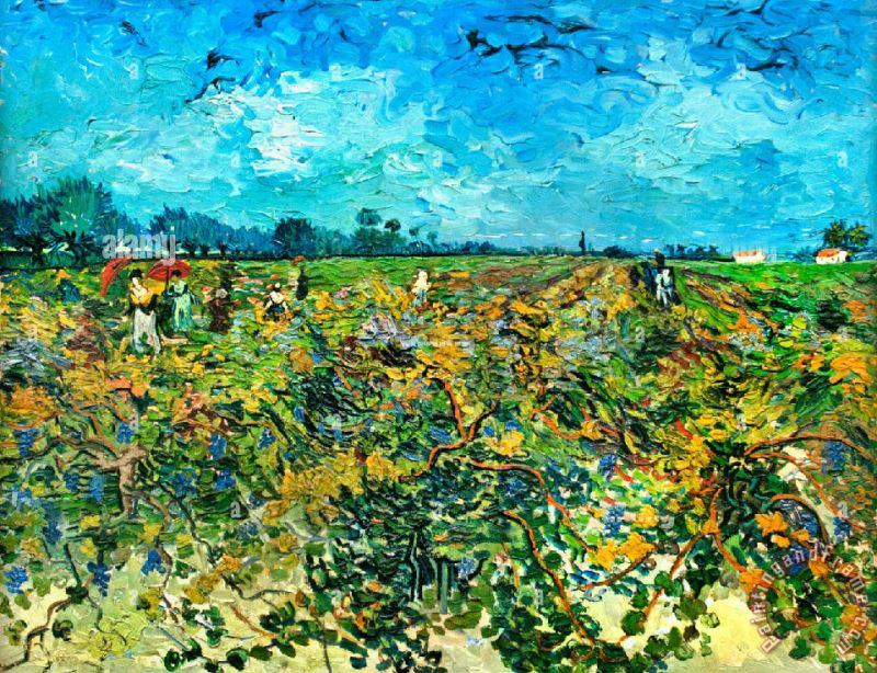 The Green Vineyard painting - Vincent van Gogh The Green Vineyard Art Print