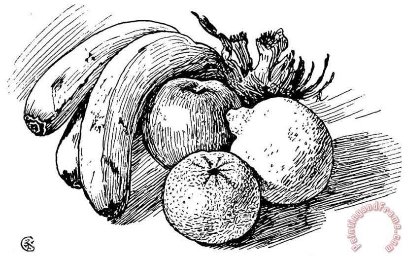 Walter Crane Pen Drawing Of Fruit Art Painting