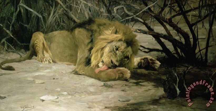 Wilhelm Kuhnert Lion Reclining in a Landscape Art Painting